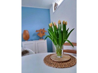 Holiday apartment Blue Wave - Features photo 8