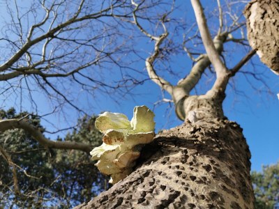 Holiday apartment Blue Wave - Environment photo 26