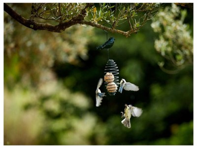 Holiday house LA VOLIERE - Environment photo 35