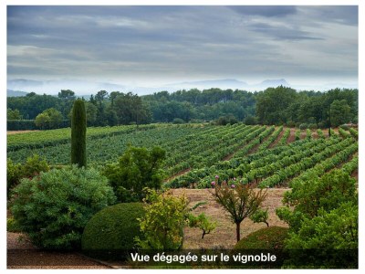 Holiday house LA VOLIERE - Environment photo 36