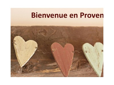 Holiday house LA VOLIERE - Outdoor photo 47