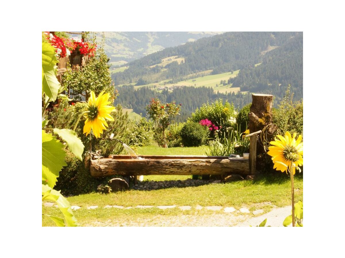 Apartment Appartment/3 Schlafräume/Dusche, WC - Outdoor photo 2