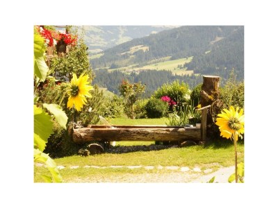 Apartment Appartment/3 Schlafräume/Dusche, WC - Outdoor photo 2