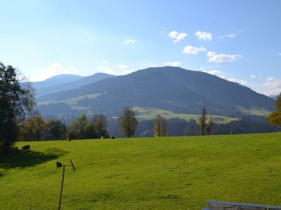 Apartment Landhaus Desiree - Outdoor photo 14