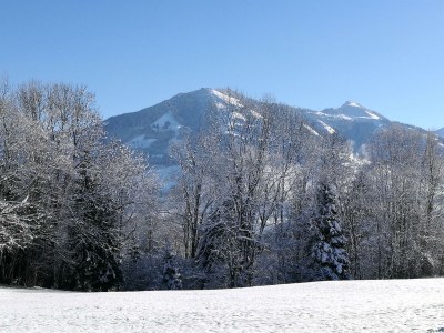 Apartment Landhaus Desiree - Outdoor photo 17
