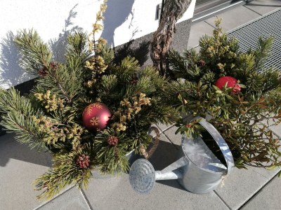 Apartment Landhaus Desiree - Outdoor photo 18