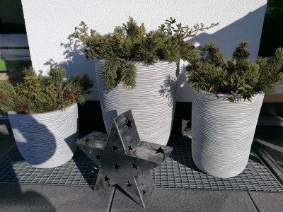 Apartment Landhaus Desiree - Outdoor photo 23