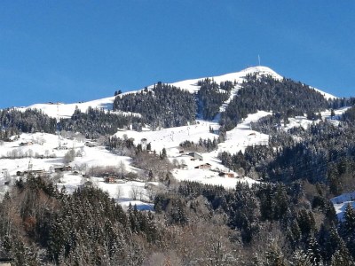 Apartment Landhaus Desiree - Outdoor photo 24