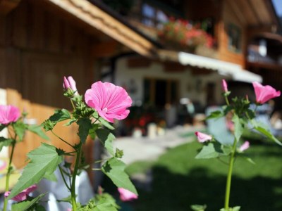 Apartment Appartement/Fewo, Dusche, 2 Schlafräume - Outdoor photo 6