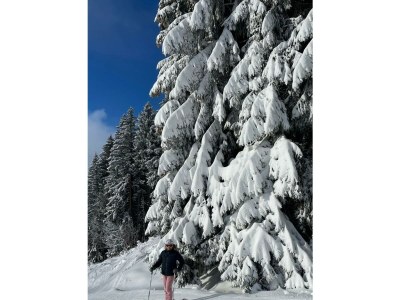 Apartment Appartement/Fewo, Dusche, 2 Schlafräume - Outdoor photo 15