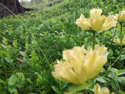 Apartment Appartement/Fewo, Dusche, 2 Schlafräume - Outdoor photo 16