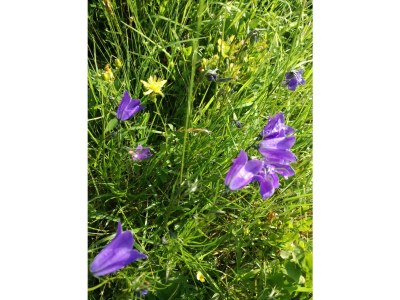 Apartment Appartement/Fewo, Dusche, 2 Schlafräume - Outdoor photo 18