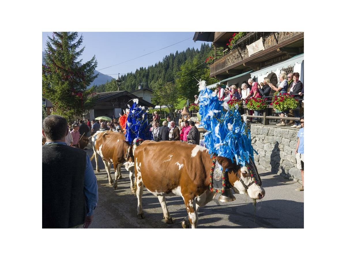 Holiday room 6-Bett-Zimmer - Outdoor photo 5