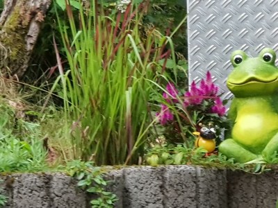 Apartment Ferienhaus, Dusche, WC, 2 Schlafräume - Outdoor photo 6