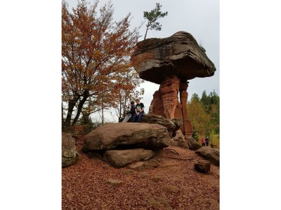 Apartment Ferienhaus, Dusche, WC, 2 Schlafräume - Outdoor photo 21