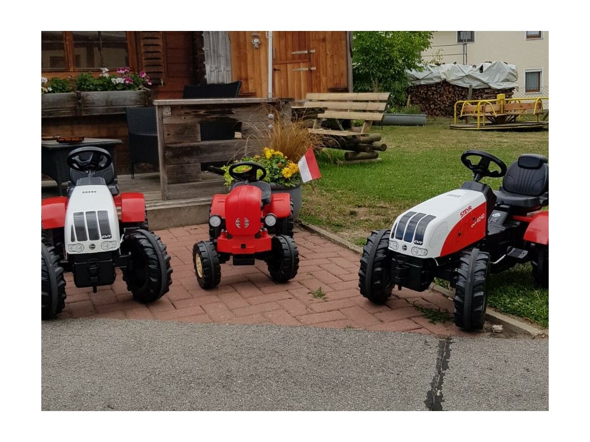 Holiday apartment On the Stark holiday farm. - Outdoor photo 4