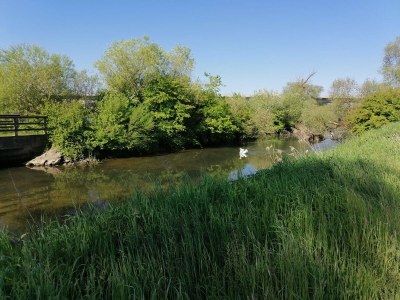 Holiday apartment On the Stark holiday farm. - Environment photo 16
