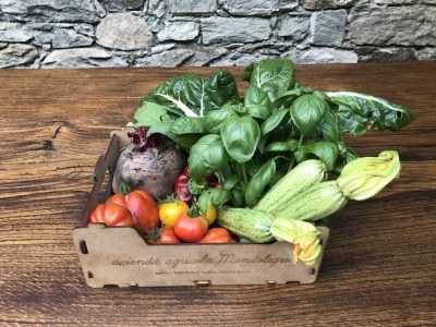 Holiday apartment Agriturismo Mondolegro - Chiesa Valmalenco - Outdoor photo 12