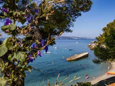 Bungalow CABANON LE PARASOL - Environment photo 14