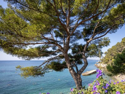 Bungalow CABANON LE PARASOL - Environment photo 15