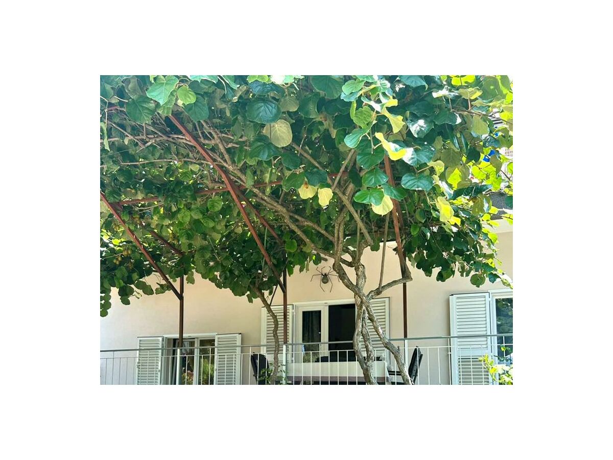 Apartment Studio Ugrin with Terrace - Outdoor photo 4