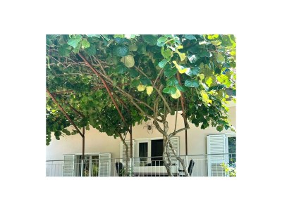 Apartment Studio Ugrin with Terrace - Outdoor photo 4