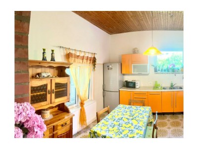 Apartment Studio Ugrin with Terrace - Features photo 7