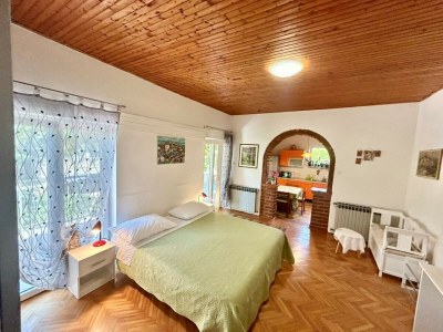 Apartment Studio Ugrin with Terrace - Features photo 15