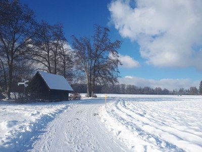 Holiday apartment Link - Environment photo 20