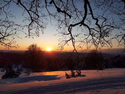 Holiday apartment Link - Environment photo 21