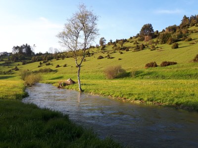 Holiday apartment Link - Environment photo 23