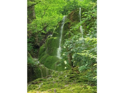 Holiday apartment Link - Environment photo 36