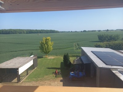 Apartment Schöne Zweizimmer-Ferienwohnung mit Pool im Garten - Outdoor photo 7