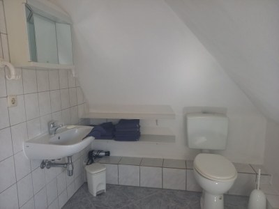 Apartment Schöne Zweizimmer-Ferienwohnung mit Pool im Garten - Features photo 21