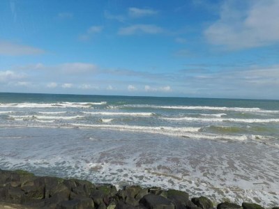 Holiday house Ruhiger Garten-Rückzugsort am Meer - Environment photo 27