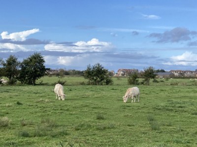 Holiday house Beach & Nature - Environment photo 11