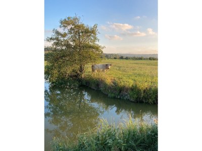 Holiday house Beach & Nature - Environment photo 16