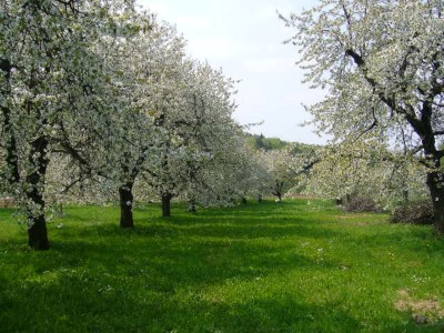 Holiday house Christof - Outdoor photo 22