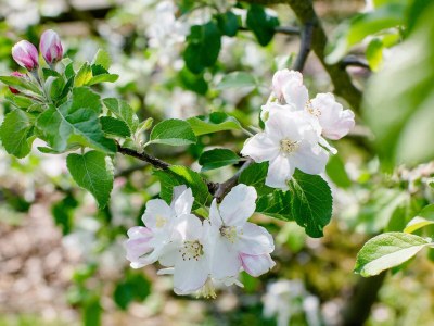 Holiday house Christof - Outdoor photo 23