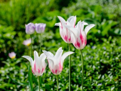 Holiday house Christof - Features photo 24