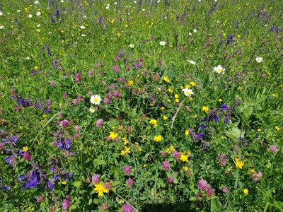 Holiday house Christof - Features photo 25