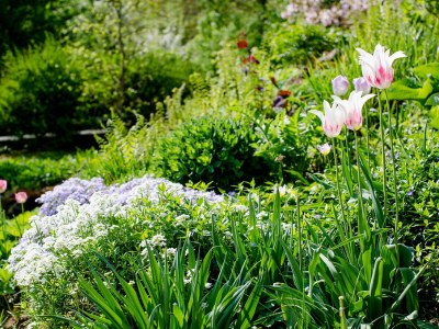 Holiday house Christof - Features photo 26