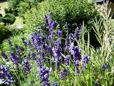 Holiday house Christof - Features photo 27