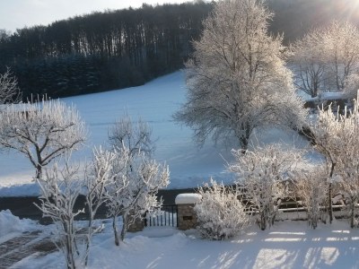 Holiday house Christof - Environment photo 31