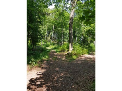 Holiday house Christof - Environment photo 35