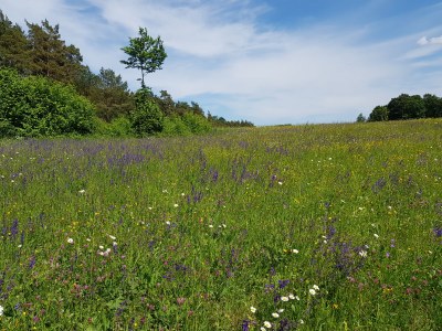 Holiday house Christof - Environment photo 36