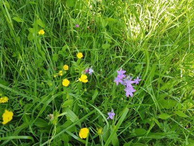 Holiday house Christof - Environment photo 37