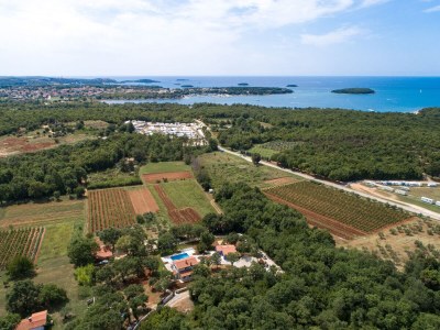Villa Irena Funtana with pool - Outdoor photo 15