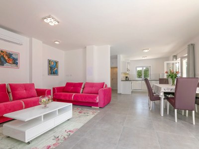 Villa Irena Funtana with pool - Features photo 17