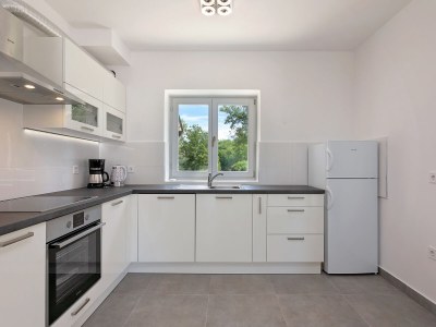 Villa Irena Funtana with pool - Features photo 21